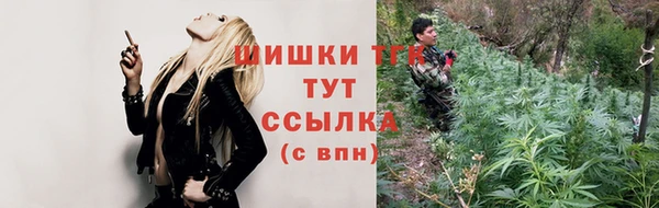 гидра Аркадак