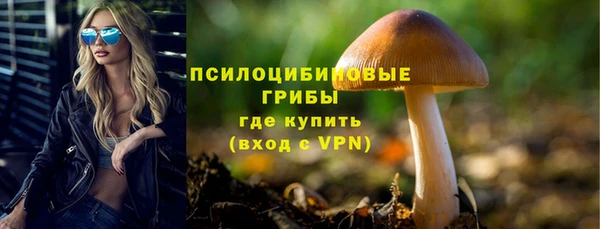 ПСИЛОЦИБИНОВЫЕ ГРИБЫ Армянск