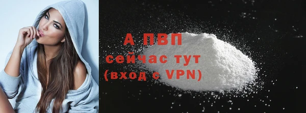 сатива Арсеньев