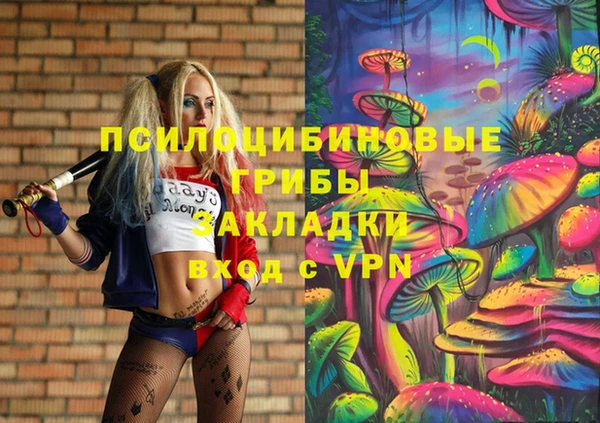 сатива Арсеньев