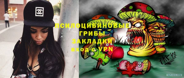 гидра Аркадак