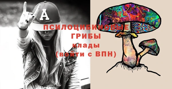 ПСИЛОЦИБИНОВЫЕ ГРИБЫ Армянск