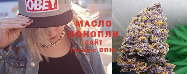 гидра Аркадак