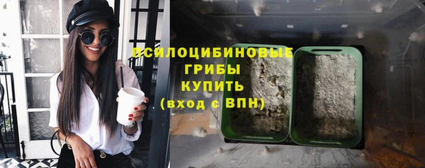 ПСИЛОЦИБИНОВЫЕ ГРИБЫ Армянск